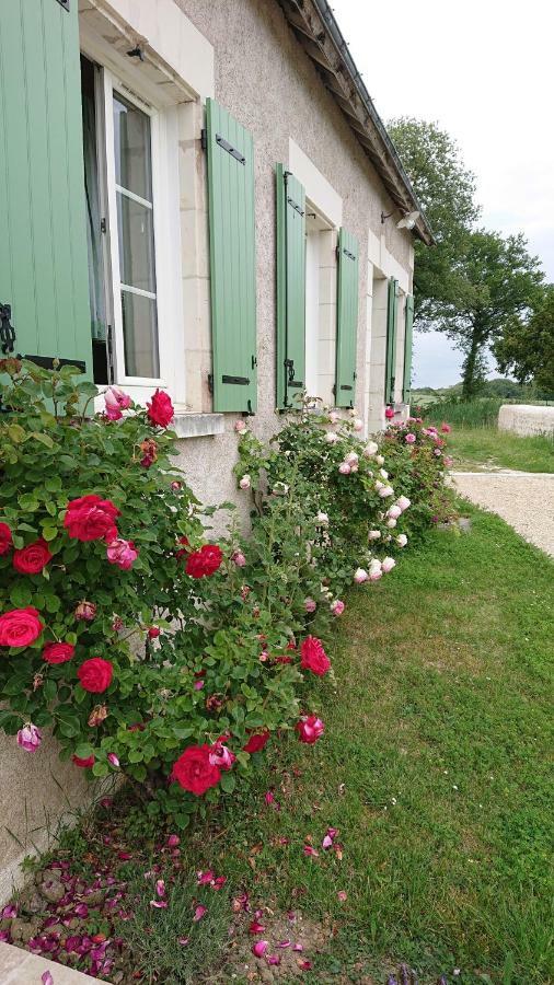 Longere Du Sud Touraine Au Coeur Du Val De Loire Βίλα Saint-Jean-Saint-Germain Εξωτερικό φωτογραφία