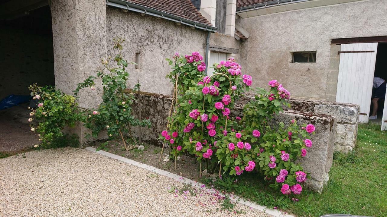 Longere Du Sud Touraine Au Coeur Du Val De Loire Βίλα Saint-Jean-Saint-Germain Εξωτερικό φωτογραφία