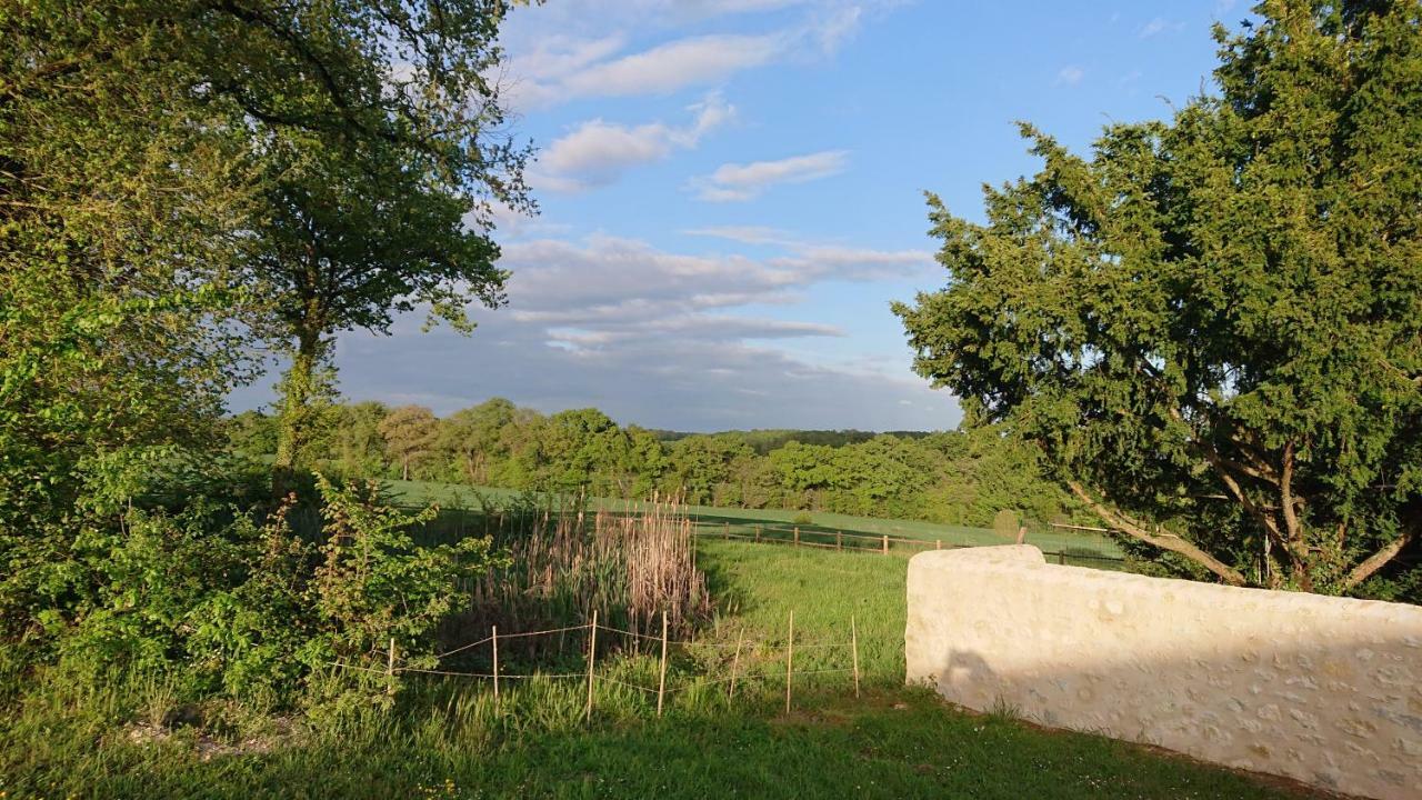 Longere Du Sud Touraine Au Coeur Du Val De Loire Βίλα Saint-Jean-Saint-Germain Εξωτερικό φωτογραφία